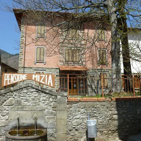 Mizia